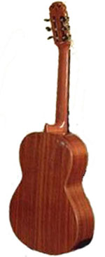 koa-1.jpg